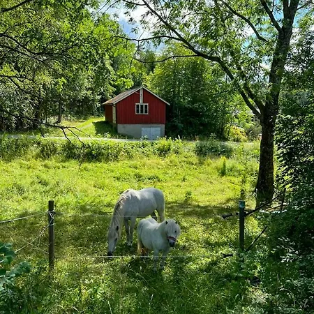 Micro House In A Rose Garden On A Smallholding * Nordre Frogn