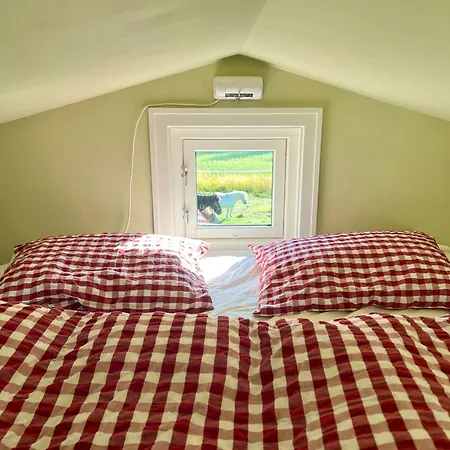 Hébergement de vacances Micro House In A Rose Garden On A Smallholding