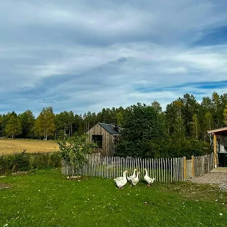 Hébergement de vacances Micro House In A Rose Garden On A Smallholding *