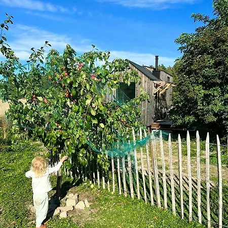 Micro House In A Rose Garden On A Smallholding Hébergement de vacances
